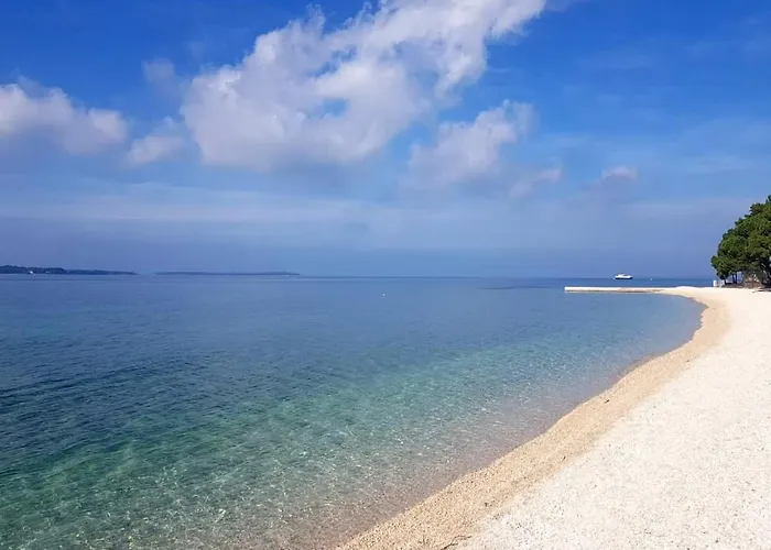 Appartement Mishel 1