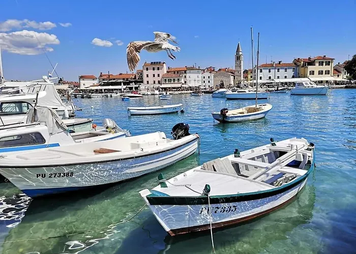 Mishel 1 Appartement *